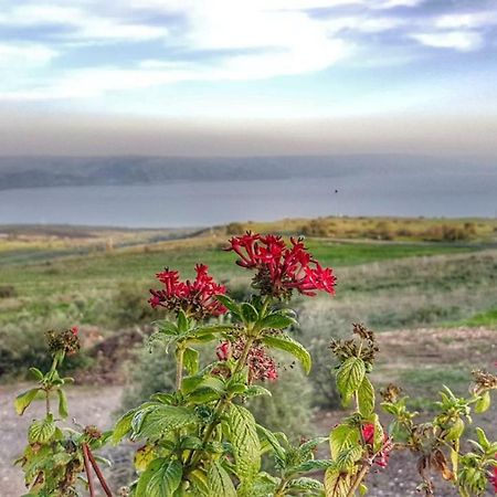 Sea Of Galilee Site Chorazim Exterior foto