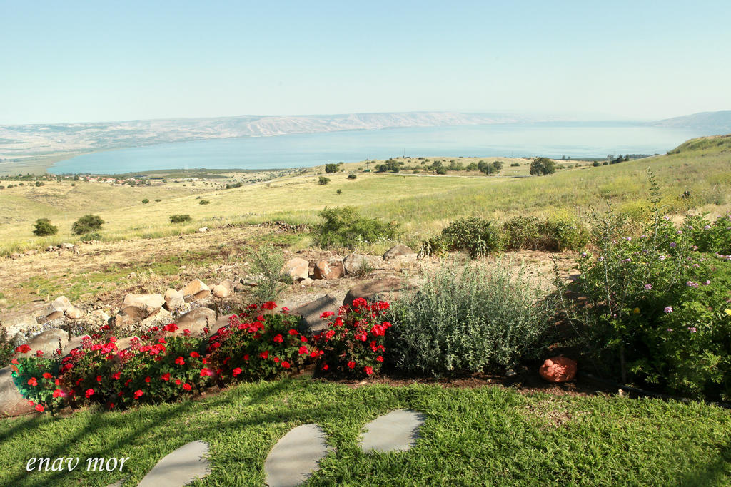 Sea Of Galilee Site Chorazim Exterior foto