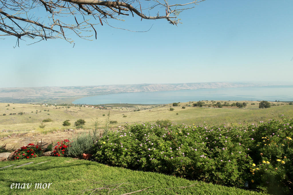 Sea Of Galilee Site Chorazim Exterior foto