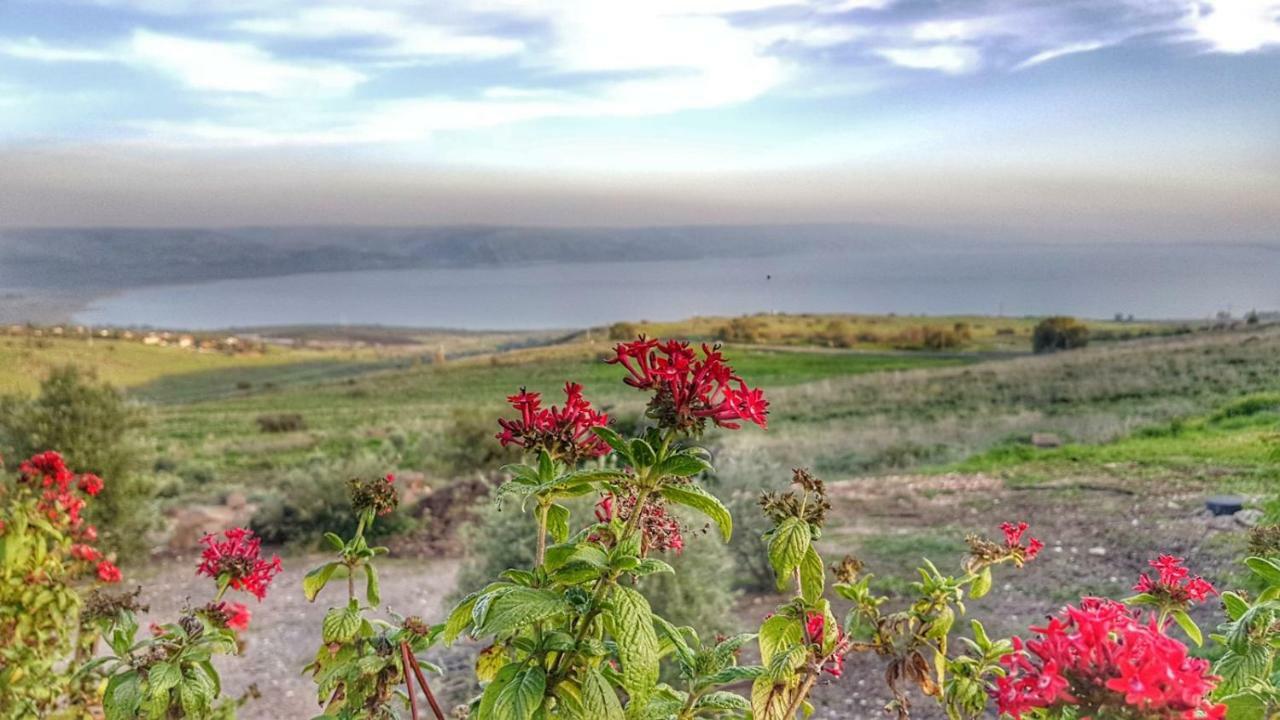 Sea Of Galilee Site Chorazim Exterior foto